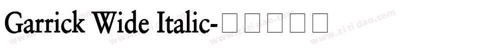 Garrick Wide Italic字体转换